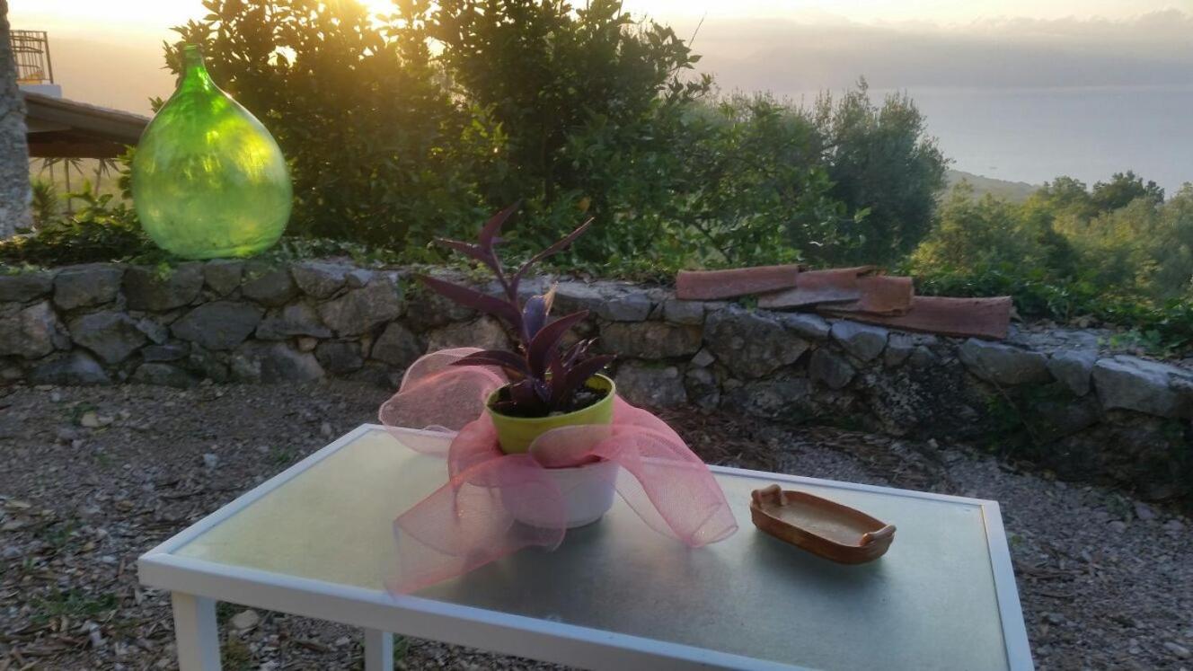 Agrestis Domus Guest House San Giovanni a Piro Eksteriør bilde
