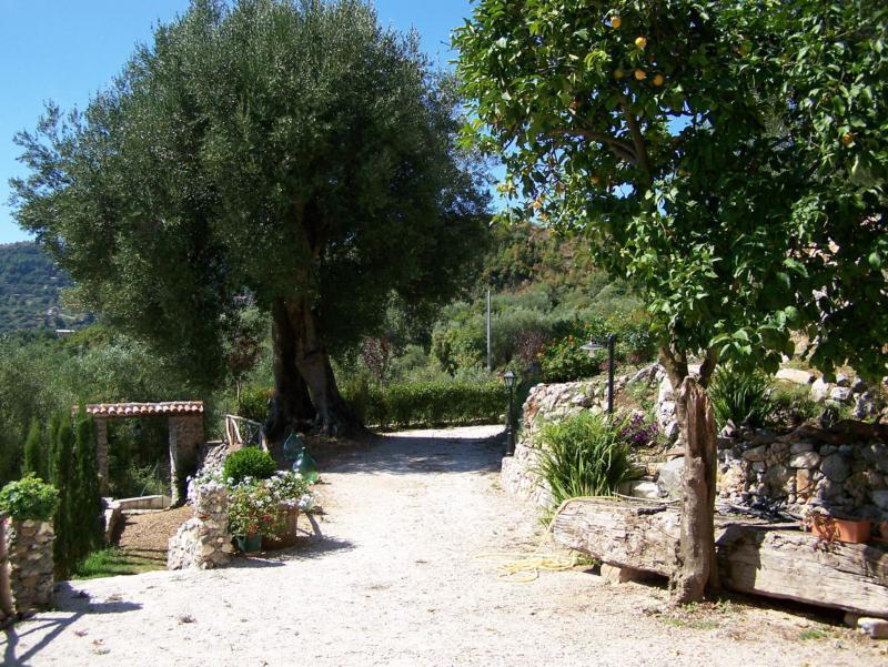 Agrestis Domus Guest House San Giovanni a Piro Eksteriør bilde