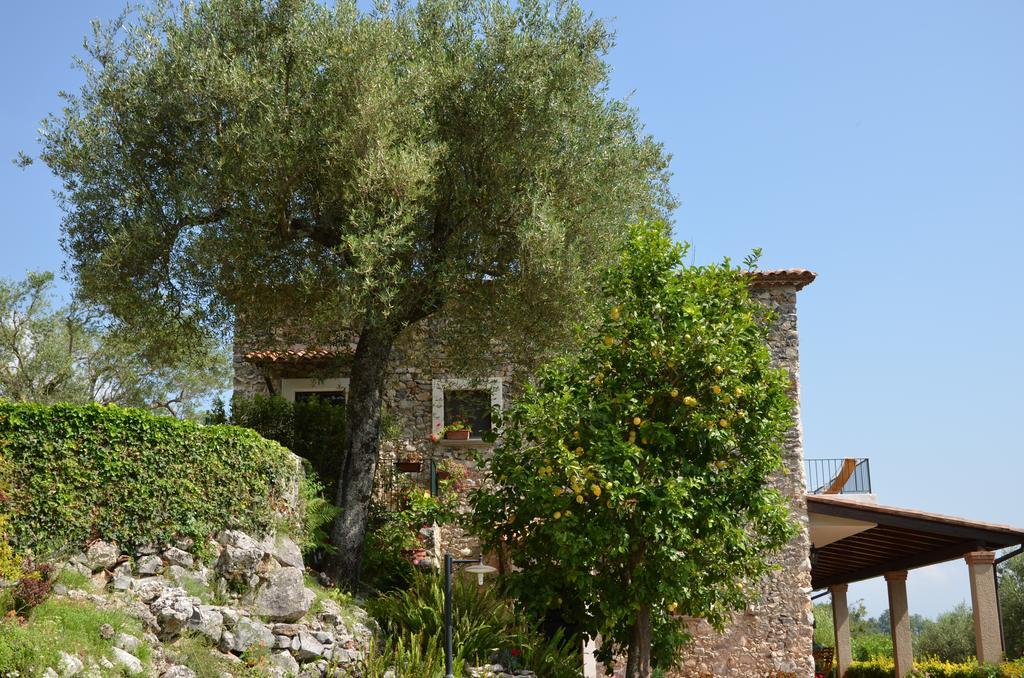 Agrestis Domus Guest House San Giovanni a Piro Eksteriør bilde