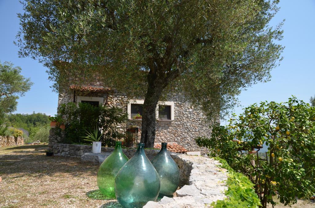 Agrestis Domus Guest House San Giovanni a Piro Eksteriør bilde