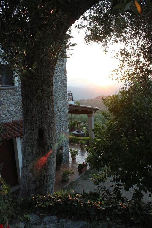 Agrestis Domus Guest House San Giovanni a Piro Eksteriør bilde