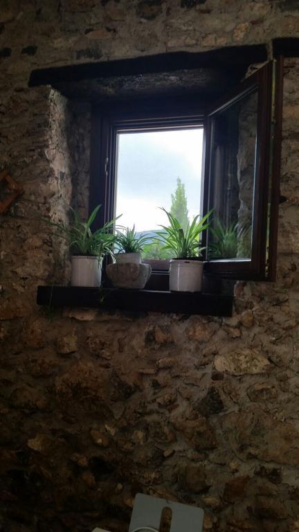 Agrestis Domus Guest House San Giovanni a Piro Eksteriør bilde