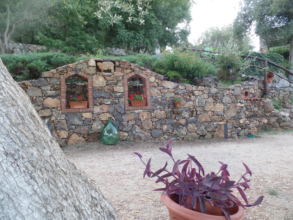 Agrestis Domus Guest House San Giovanni a Piro Eksteriør bilde